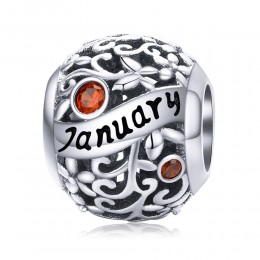 Talisman argint Birthday Stone January